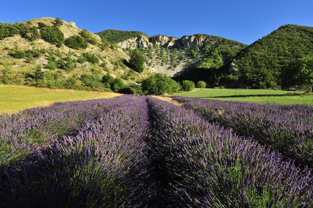 ホテル Vvf Drome Provence モンブリュン・レ・バン エクステリア 写真